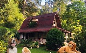 Casa na Floresta em Campos do Jordao